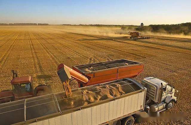 金年会官网：重工机械如何应对不同地理条件下的农业挑战